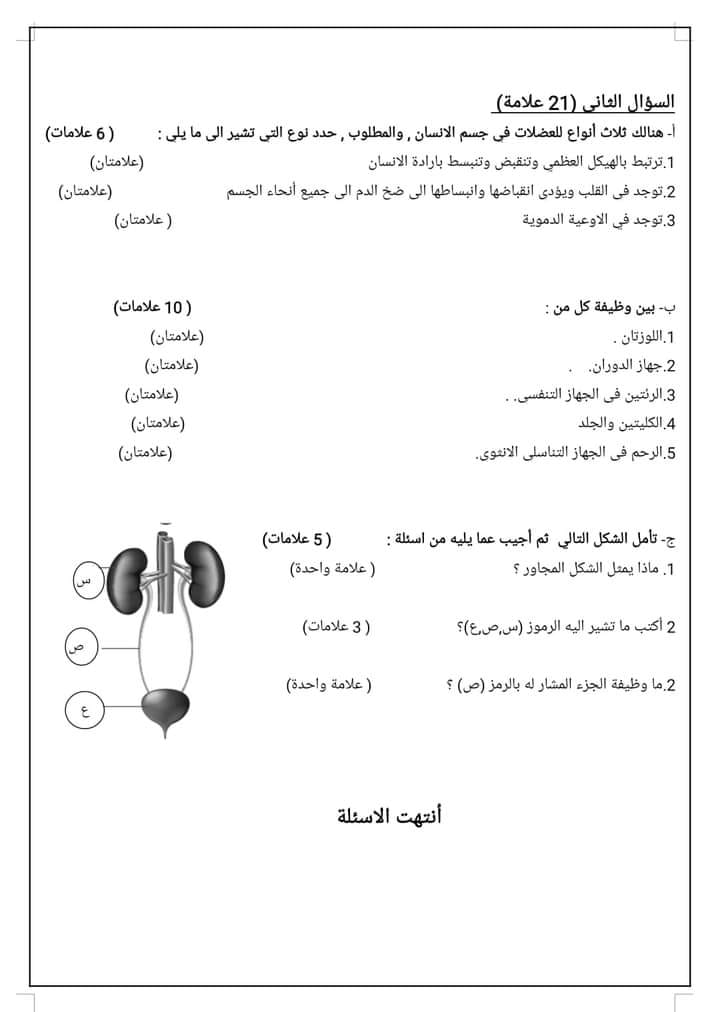 MTk3MTc0MC40NjY2 صور امتحان الشهر الاول لمادة العلوم للصف الثامن الفصل الثاني 2024